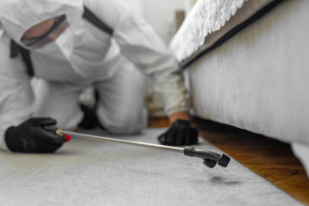 Professional Cockroach Control technician working in Centreville, MI