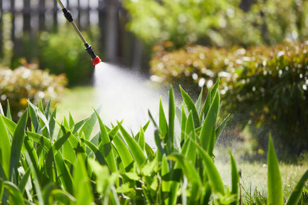 24/7 Emergency Cockroach Control experts in Centreville, MI