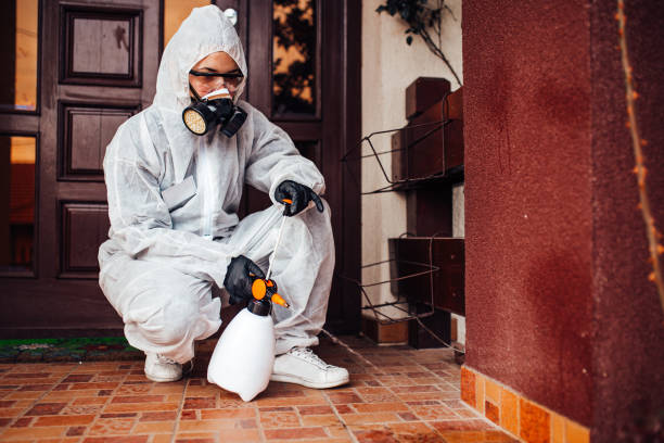 Reliable Cockroach Control contractor in Centreville, MI by Nex Pest Control