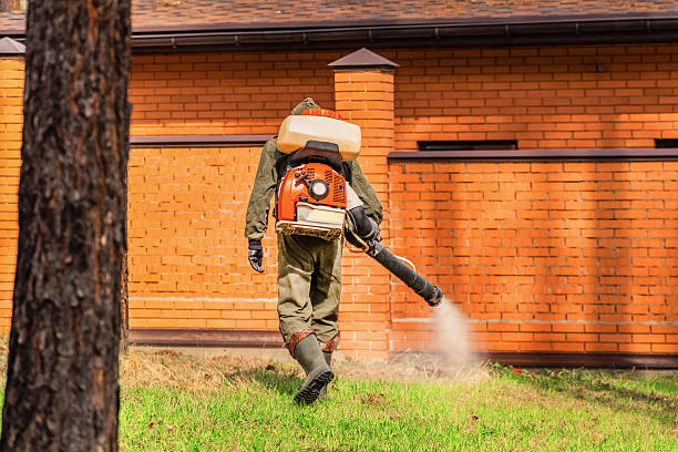 Trusted Ant Control service in Centreville, MI - Nex Pest Control